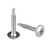 Self Drilling Screws Philippines